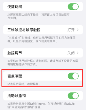 郏县苹果授权维修站分享iPhone轻点无法唤醒怎么办