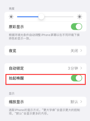 郏县苹果授权维修站分享iPhone轻点无法唤醒怎么办