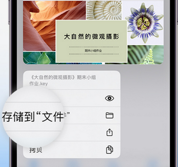 郏县apple维修中心分享iPhone文件应用中存储和找到下载文件