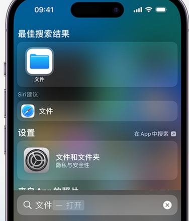 郏县apple维修中心分享iPhone文件应用中存储和找到下载文件