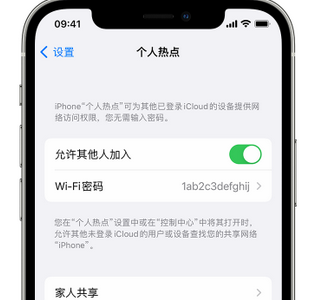 郏县apple服务站点分享iPhone上个人热点丢失了怎么办 