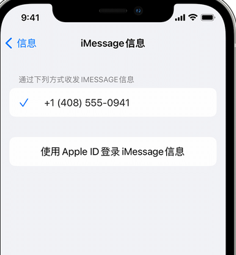 郏县apple维修iPhone上无法正常发送iMessage信息 