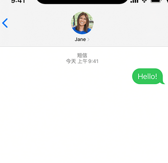 郏县apple维修iPhone上无法正常发送iMessage信息