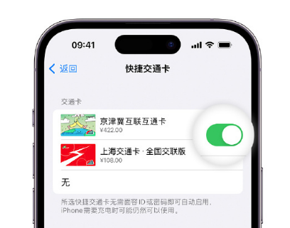 郏县apple维修点分享iPhone上更换Apple Pay快捷交通卡手绘卡面 