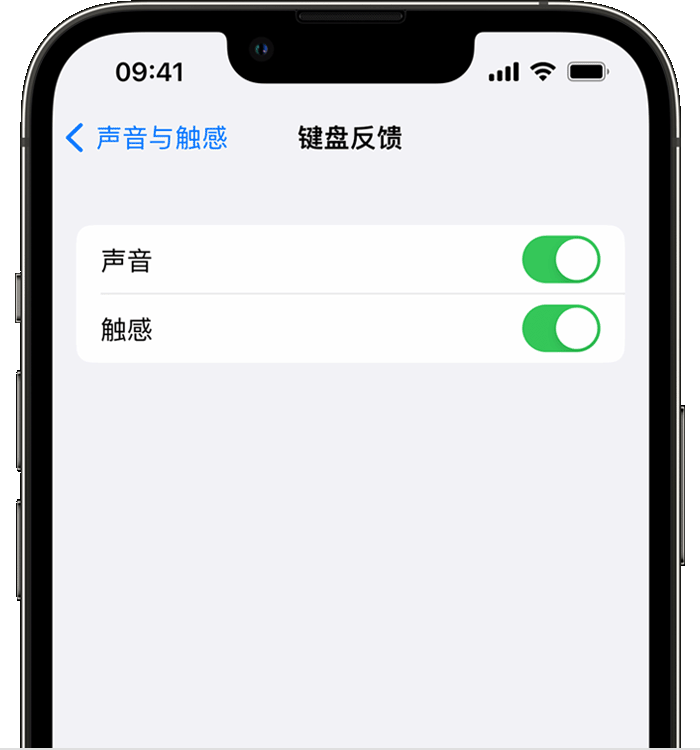 郏县苹果14维修店分享如何在 iPhone 14 机型中使用触感键盘 