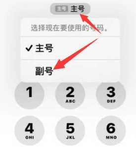 郏县苹果14维修店分享iPhone 14 Pro Max使用副卡打电话的方法 