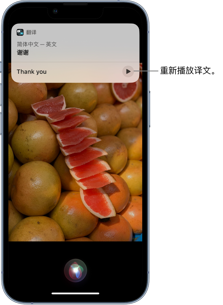 郏县苹果14维修分享 iPhone 14 机型中使用 Siri：了解 Siri 能帮你做什么 